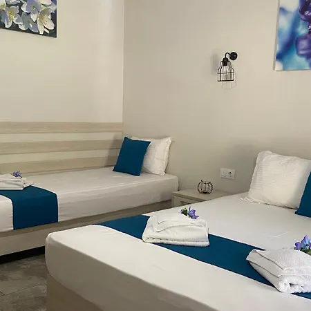 Harmony & 스칼라 포타미아스